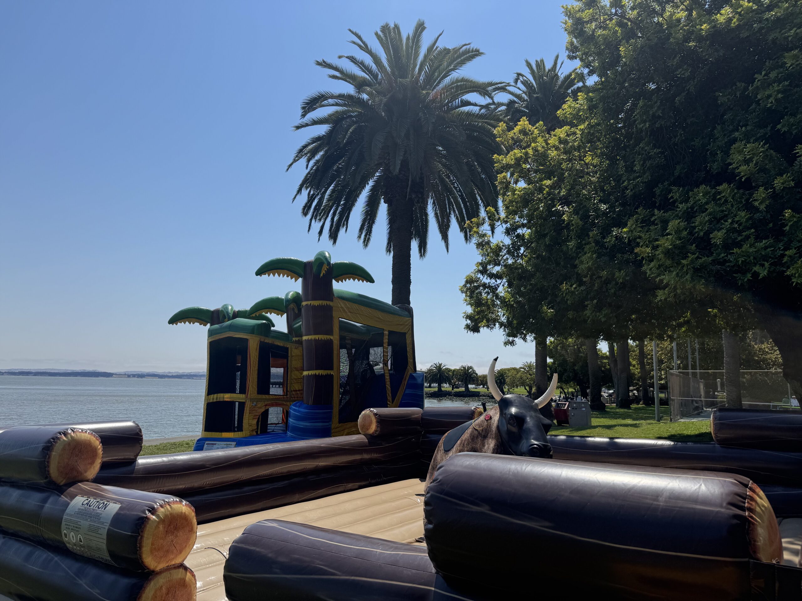 Mechanical Bull in San Rafael, Ca